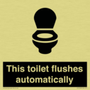 this-toilet-flushes-automatically~